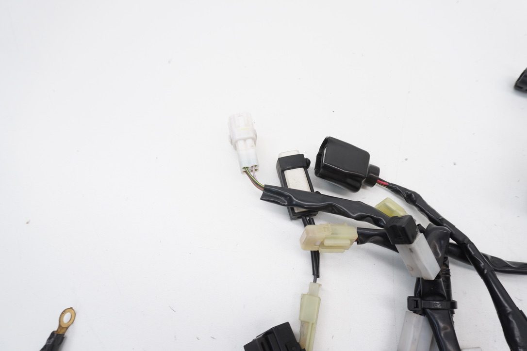 9069830